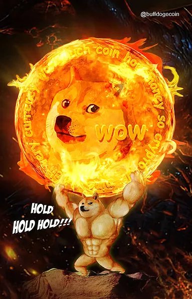 doge_albania's tweet photo. @elonmusk https://t.co/vJqjwgZTOA