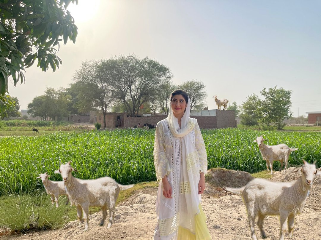 FatimaPTI_IK's tweet photo. اس تصویر میں کتنی بکریاں ہیں ؟؟

ٹھیک جواب دینے والوں کو فالو کیا جائے گا ✌🏼 https://t.co/q0gxZplllJ