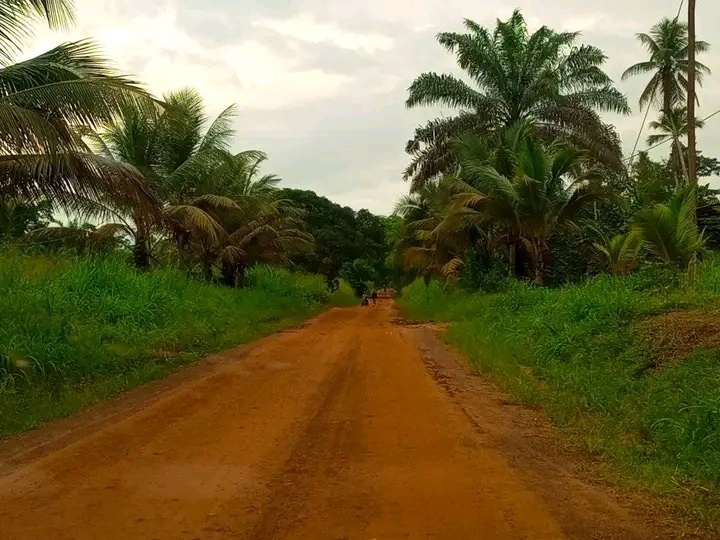 RadioCultureFm's tweet photo. La route #EbolowaKribi en passant par #Akom2 de meilleure qualité en cette saison de pluies.
Suivez-nous sur @RadioCultureFM
#Océan #Cameroun #Cameroon https://t.co/Z9bsxCJEq5