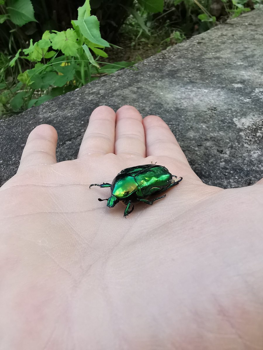 Tobias Erik Reiners tweet media