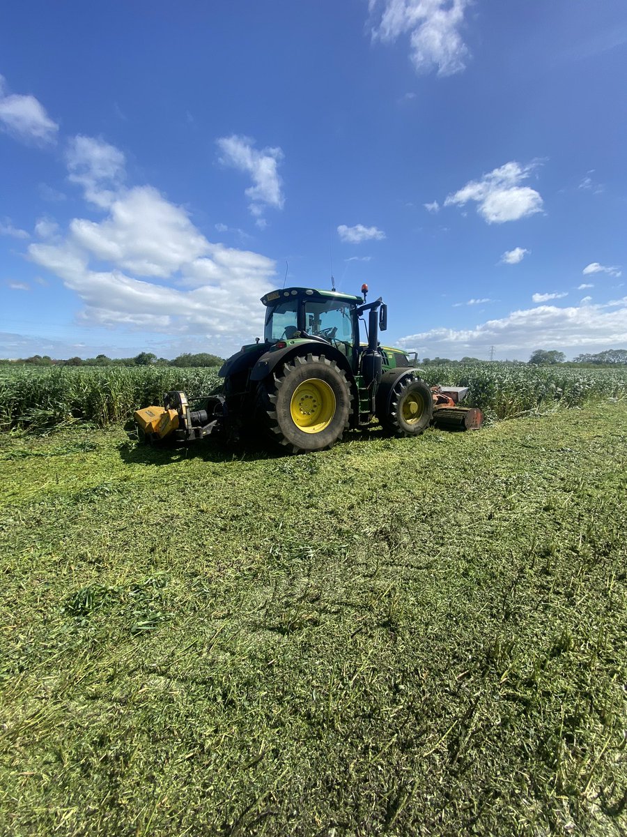 Putting some OM back in! Start of AB15 cutting has begun