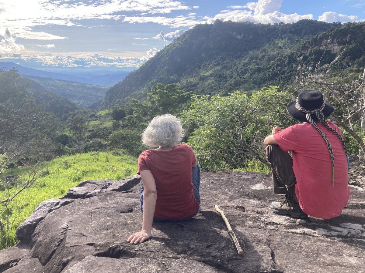 ArteSumapaz tweet media