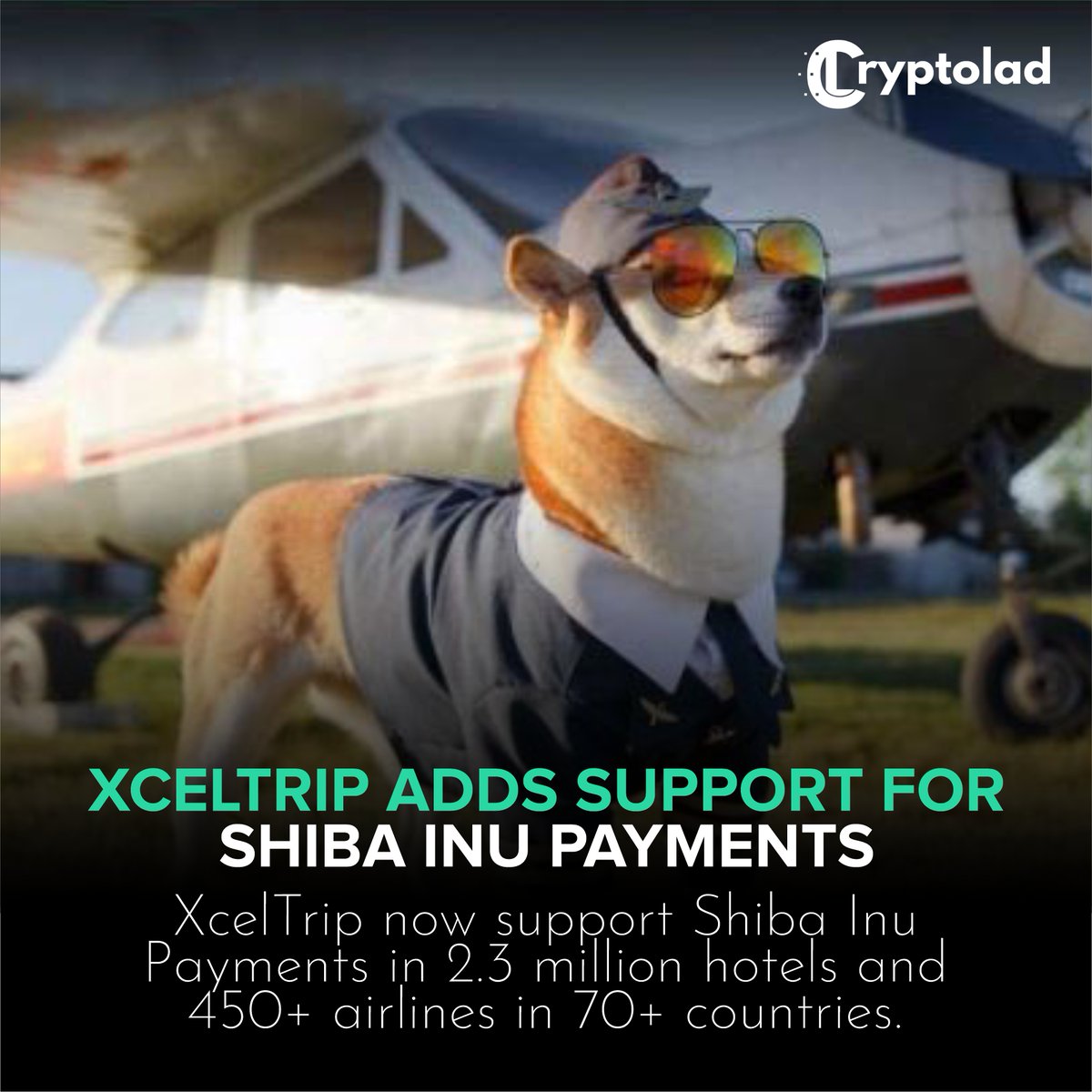 The decentralized travel company tweeted today:
Hey Shiba Inu Coin holders, $SHIB is now listed on XcelTrip.
---
🌐 cryptolad.co
.
#cryptolad #trading #mining #staking #stakingguide #topexchanges #freetradingebook #proofofstakeexplained #wallets #gambling