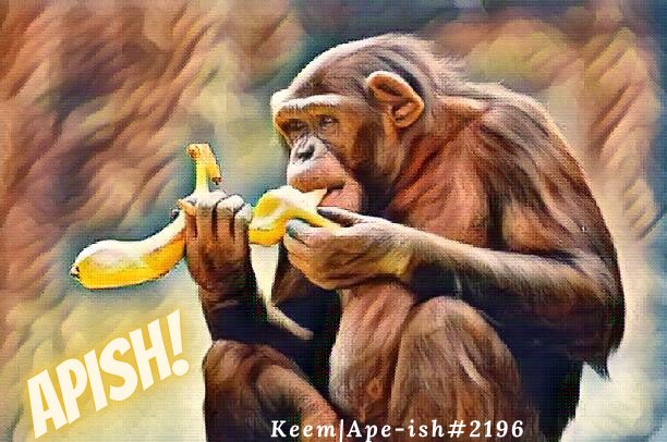 “But to be what I am, to live what I was meant to live, to want to sound like no one else, to yield the blossoms dictated to my heart: this is what I want - and this surely cannot be arrogance."
I am #apish with no apologies🍌
<a href="/justape_/">Ape. 🍌</a> <a href="/Cryptochanzy/">Chanzy</a> @GroovyNFTs 
#NFTCommunity