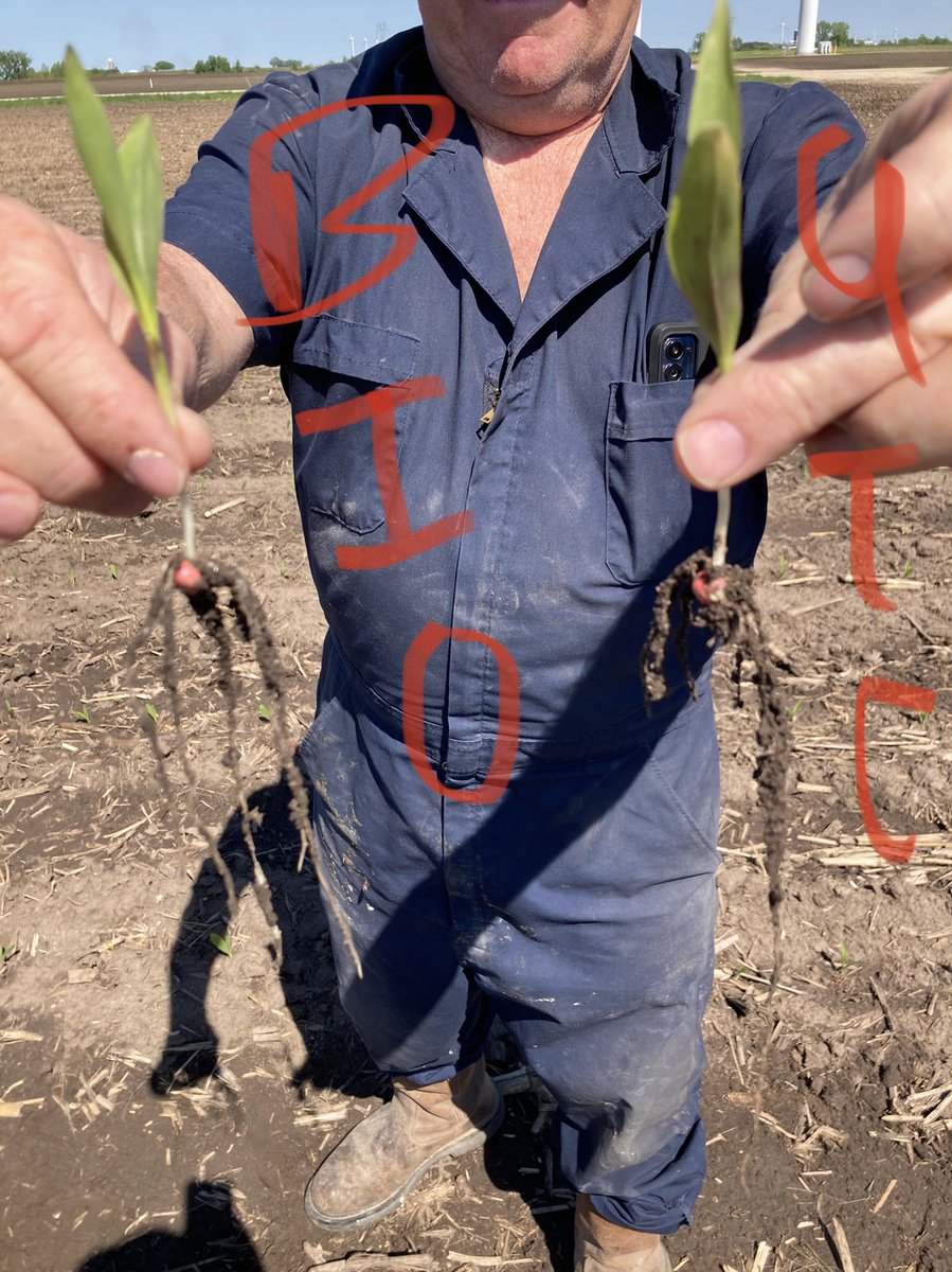 winnyfarmtech12's tweet photo. Biodyne 401 In-Furrow w/ BW-EcoSweet on left and BW-HF 12 on right. Great start now we’re gonna get some sun and heat after 1-2 inches of rain in SE MN. #ag #bwfusion #corn @FarmTech1976 https://t.co/ai6d5lr4XA