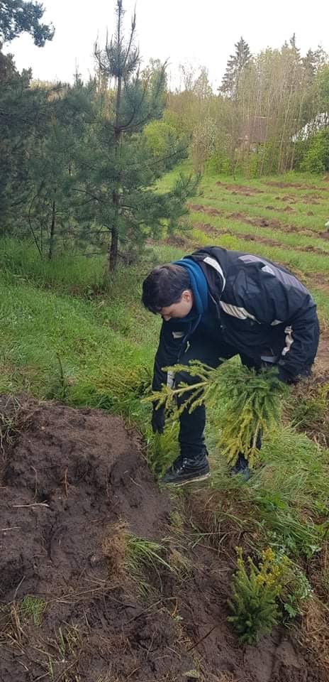 Palaima2p4b's tweet image. Just me planting forest #NFTs for growing in value :D  
#NFTforest #NFTProject #NFTCommunity #CO2