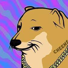 GemsCrypt's tweet photo. $cheems Inu ha captado nuestra atención en la #bsc. Hoy ha despegado cerca del 90%, y podría tener un gran recorrido. ¿Tu que piensas?

#cheemsinu #cheems #btc #eth #doge #shib #caw #gem #gems #crypto https://t.co/iKflWeCfFN