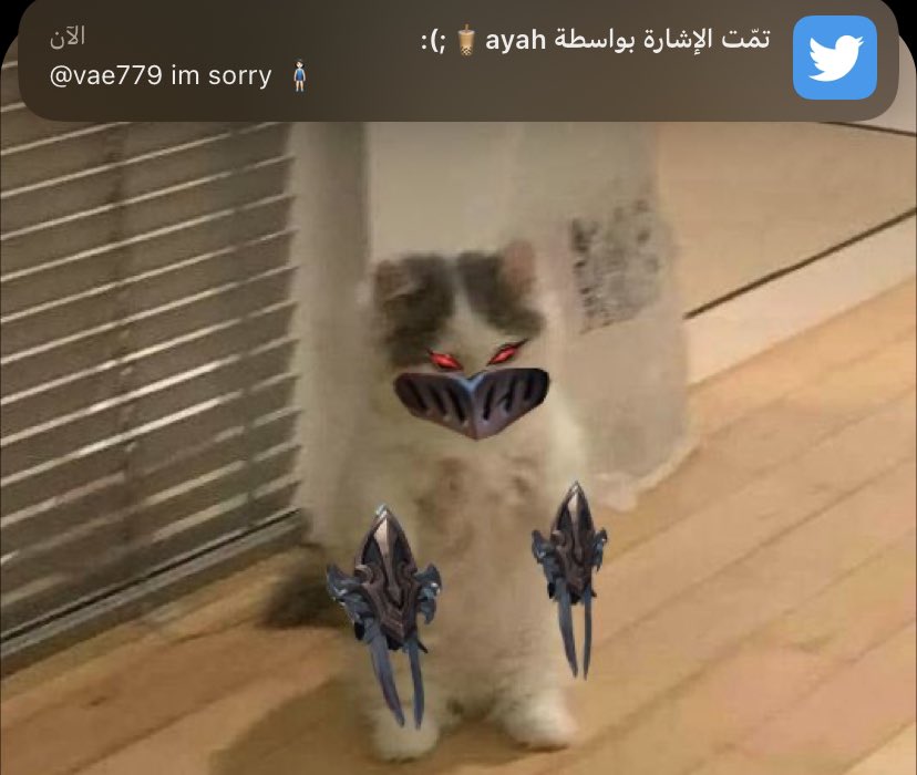 vae tweet media