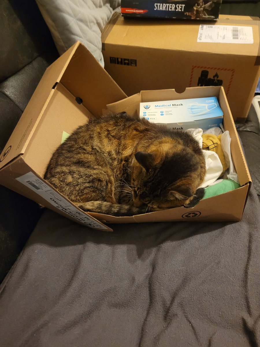 Pheepster's tweet photo. You were a good cat 

You were loud, you were needy
You were lazy and very sleepy
But you were a good cat 

I didn't know you as a kitten
But when we met I was smitten
You were a good cat https://t.co/DkorIQJbZg