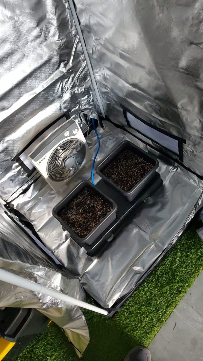 letsgetbaked_za's tweet photo. Let’s help the community #SupremeDankSociety #growyourown #CannabisCommunity #Mmemberville https://t.co/uHi5dckV1B