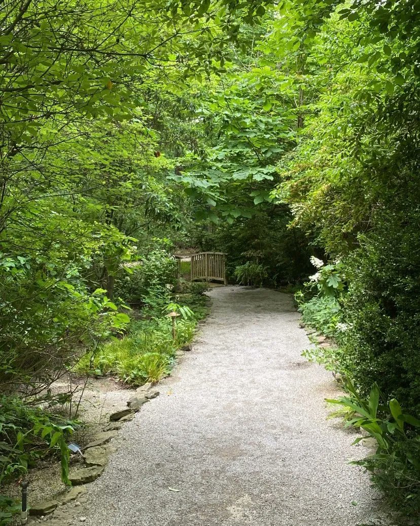 Mental Health Awareness Month ends in May but the Dixon offers free weekly wellness programs all year long. Join us for yoga, taijiquan, meditation, or take a walk through the gardens. Just 10 minutes outdoors has been proven to improve mental health.