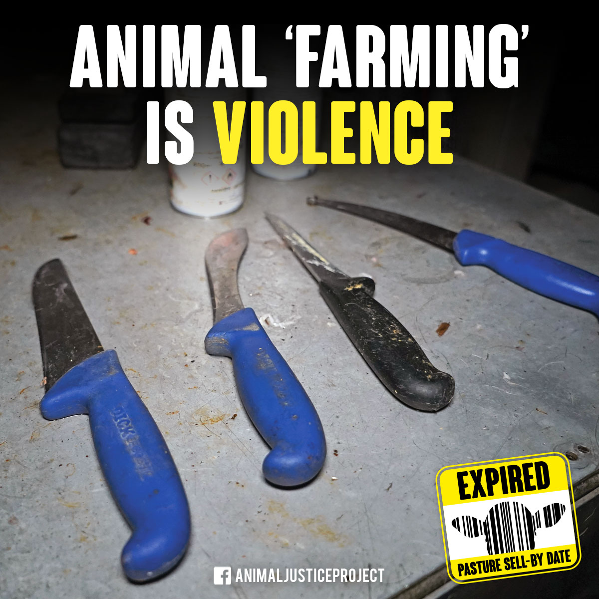ajpReact's tweet photo. ANIMAL ‘FARMING’ IS VIOLENCE 📢

We are calling for an end to animal agriculture today at the @natbeefassoc (NBA) 2022 @beefexpo in @darlingtonmart.
There is no future in animal agriculture. The future is vegan.

#BeefExpo22 #BeefShow #NationalBeefAssociation #Vegan https://t.co/lMyPnJWTHc