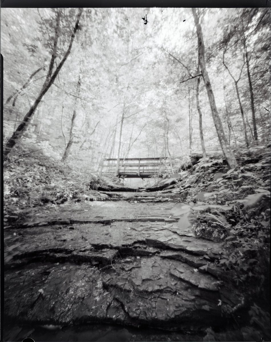 Taken at #beamanpark taken with my @ondu_pinhole 4x5 rise camera on #fomapan100 sheet film. Exposed for 12 minutes and 37s and developed with Ilfosol-3 for 5 minutes. #largeformatphotography #4x5film #pinholephotography #ondupinholecamera #ondu4x5rise #nashville #tennessee