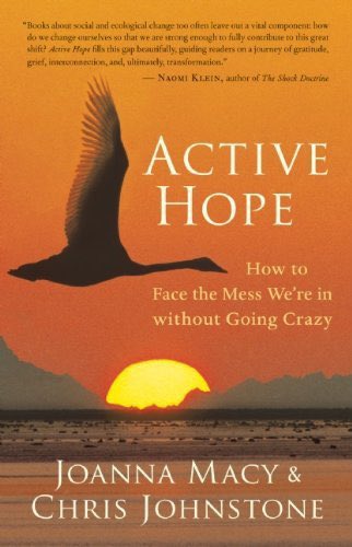 Active Hope is not wishful thinking. Active Hope is not waiting to be rescued by the Lone Ranger or by some savior. Active Hope is waking up to the beauty of life on whose behalf we can act. I recommend the books of Joanna Macy! #ONEV1 #OVEarth