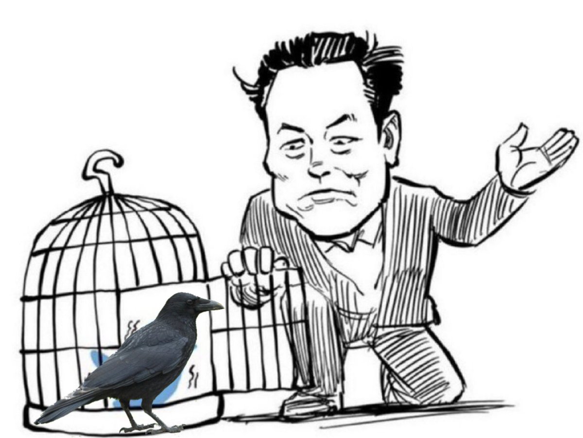 cro_memes's tweet photo. Is it time for @elonmusk to liberate #crowcoin? 

What do you think? 💬⬇️ https://t.co/pE8tcILIOl