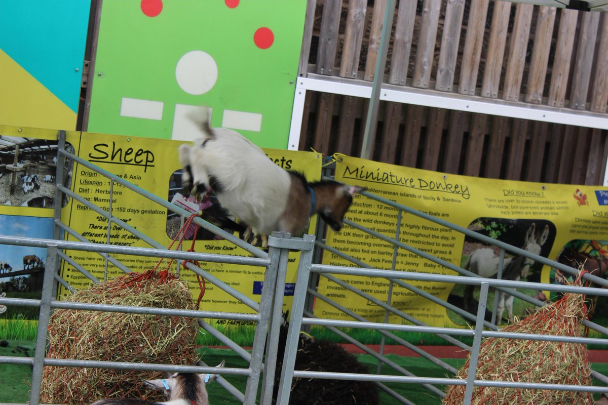 Kirkstall St Stephen's C of E Primary School tweet media