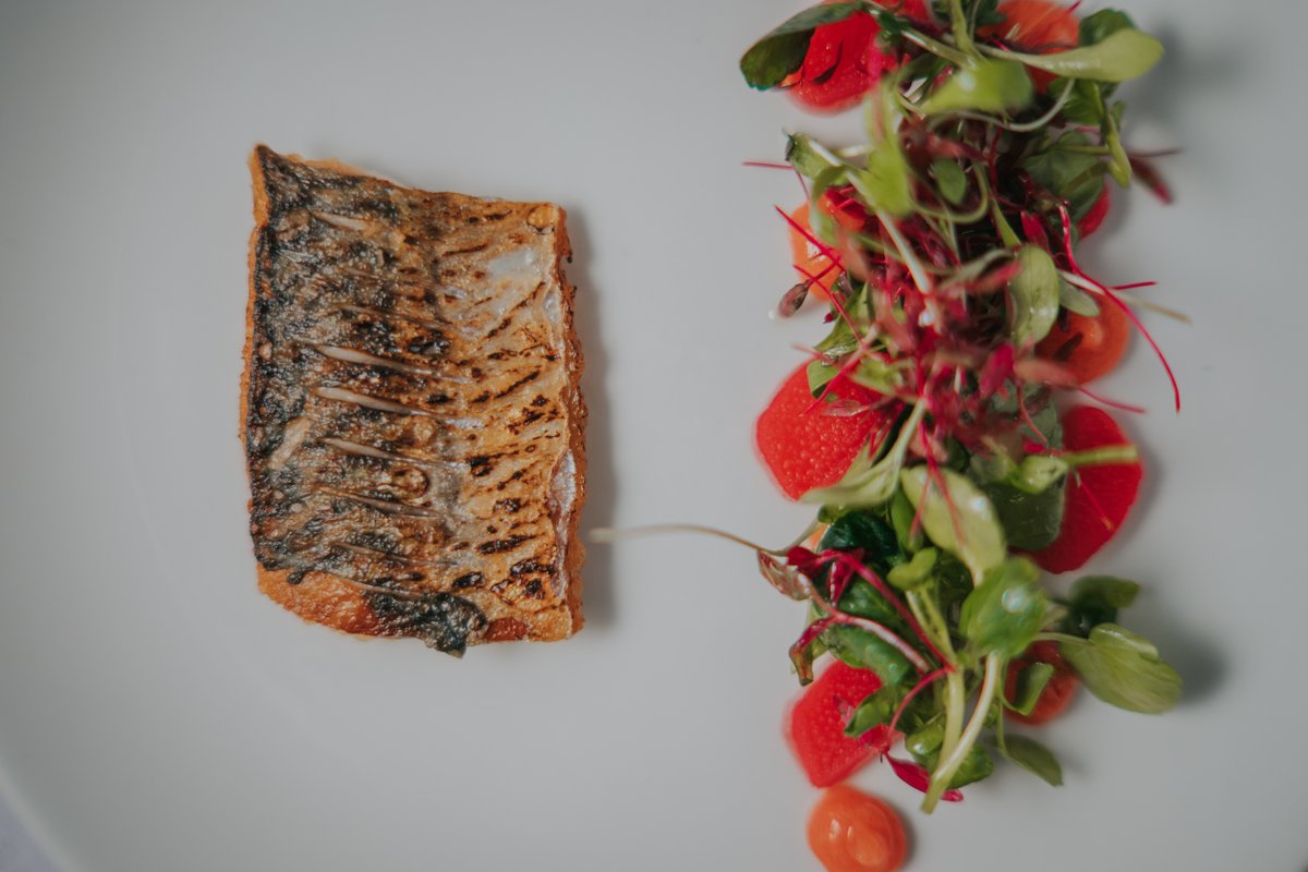 Just a few photos of some of our amazing wedding food. If you book a wedding at South Farm we have so many delicious, seasonal menus for you to choose from! 
#weddingfood #plantbasedfood #weddingmenus