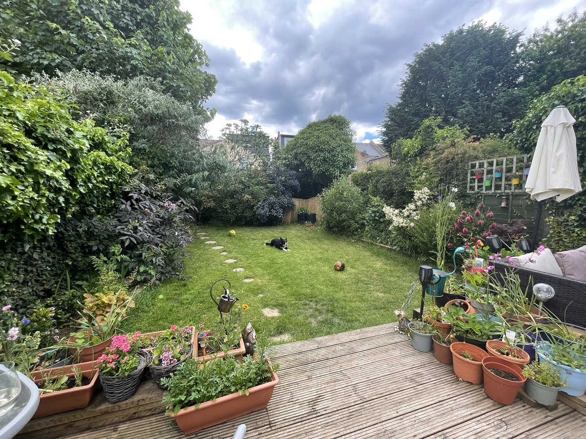 Do like it when she’s gardening - means I get to play football with her! ⚽️🌸