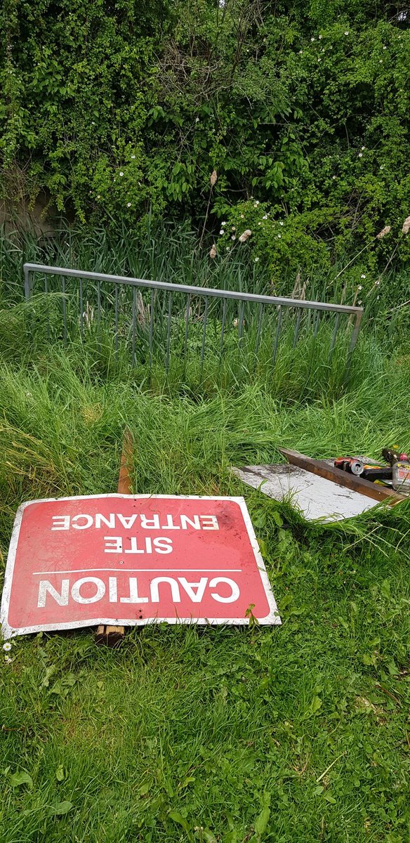 Buttercups & Bullrushes tweet media