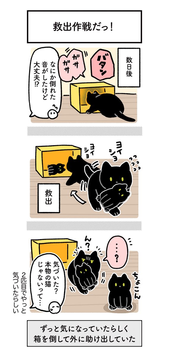 ちっちゃいぬいぐるみも大事にしていたときの絵日記(再掲)と、(ぬいぐるみの種類が分かりづらいことになっていると思うので)ちょっと紹介です 