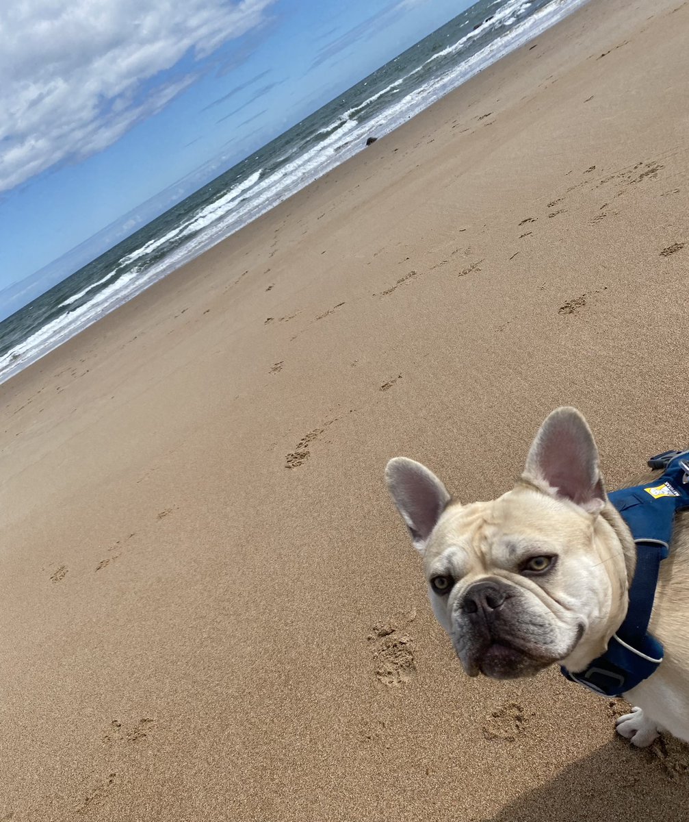 researchactive's tweet photo. #squeaksupdate : “oh I do like to be beside the seaside” #whitleybaycarnival https://t.co/QOpylrBDrW