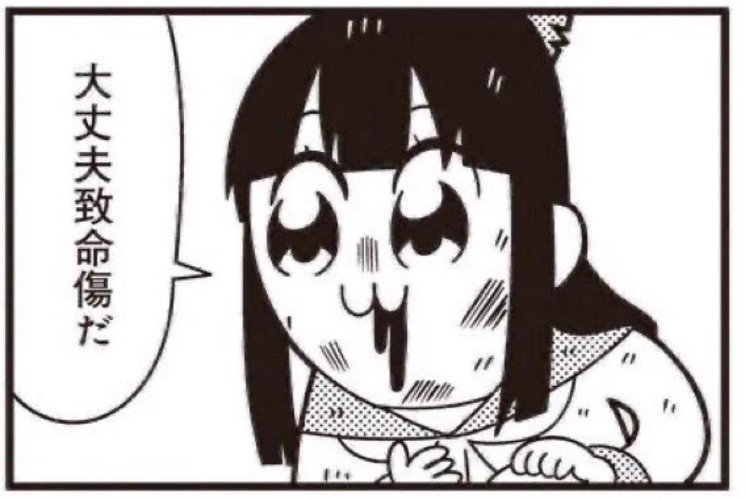 @siroyagishugo [見た瞬間]
と
[見終えた後] 