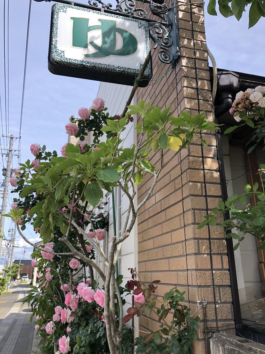 ノムラ tweet media