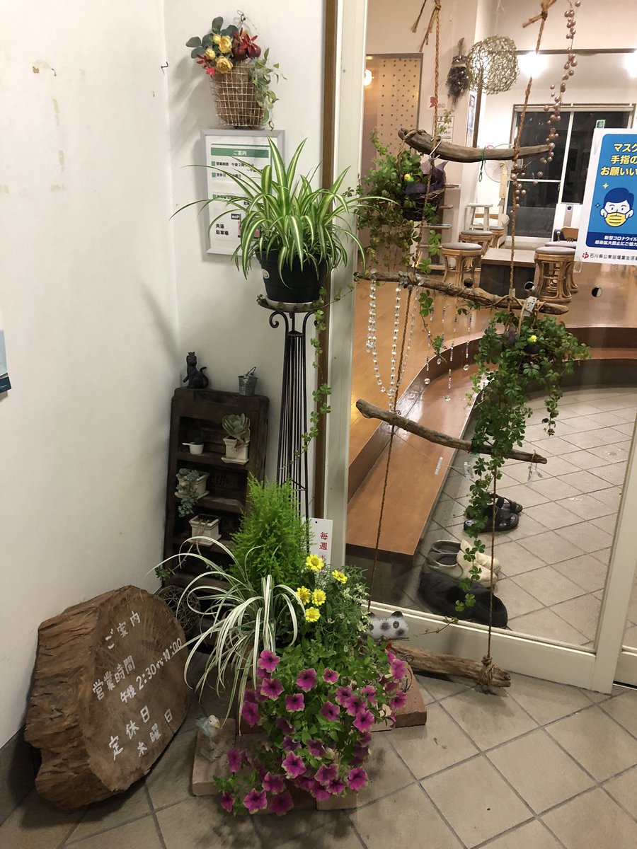 ノムラ tweet media