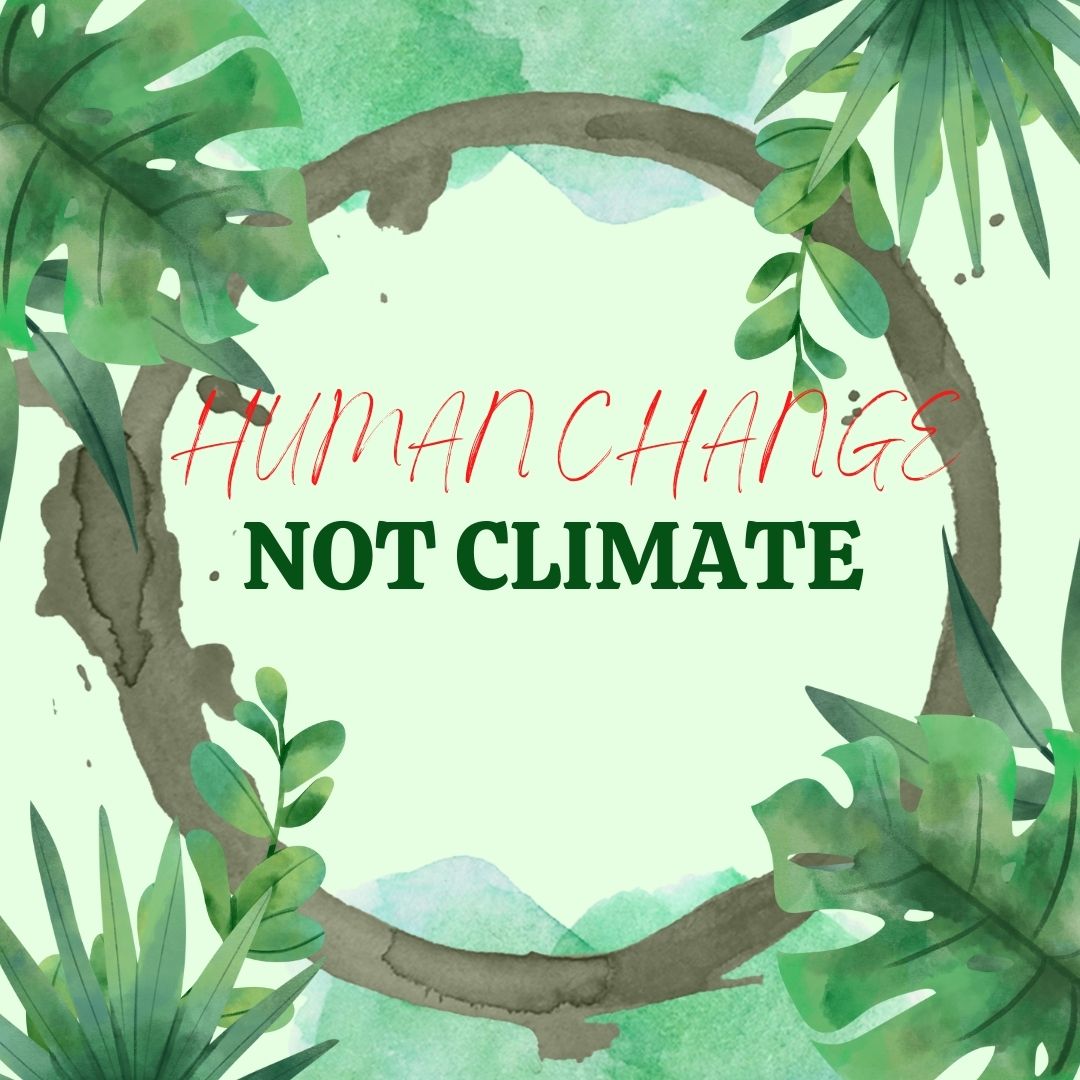 stories_LM's tweet photo. Save Nature Save Earth,,, 
#lastmilestories #wildlife
#Nature #life #conservation #climate 
#earth https://t.co/UeoHYrtZ4S