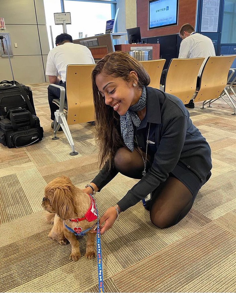 APTherapyDogs's tweet photo. Happy Saturday all!!!

Have you seen the love Dale gave out this AM today at 
@flyavp ?

We love Dale !!! 

#airporttherapydogs #flyavp #allianceoftherapydogs

Photo  - dalethetherapydog https://t.co/AzhsAeiyIK