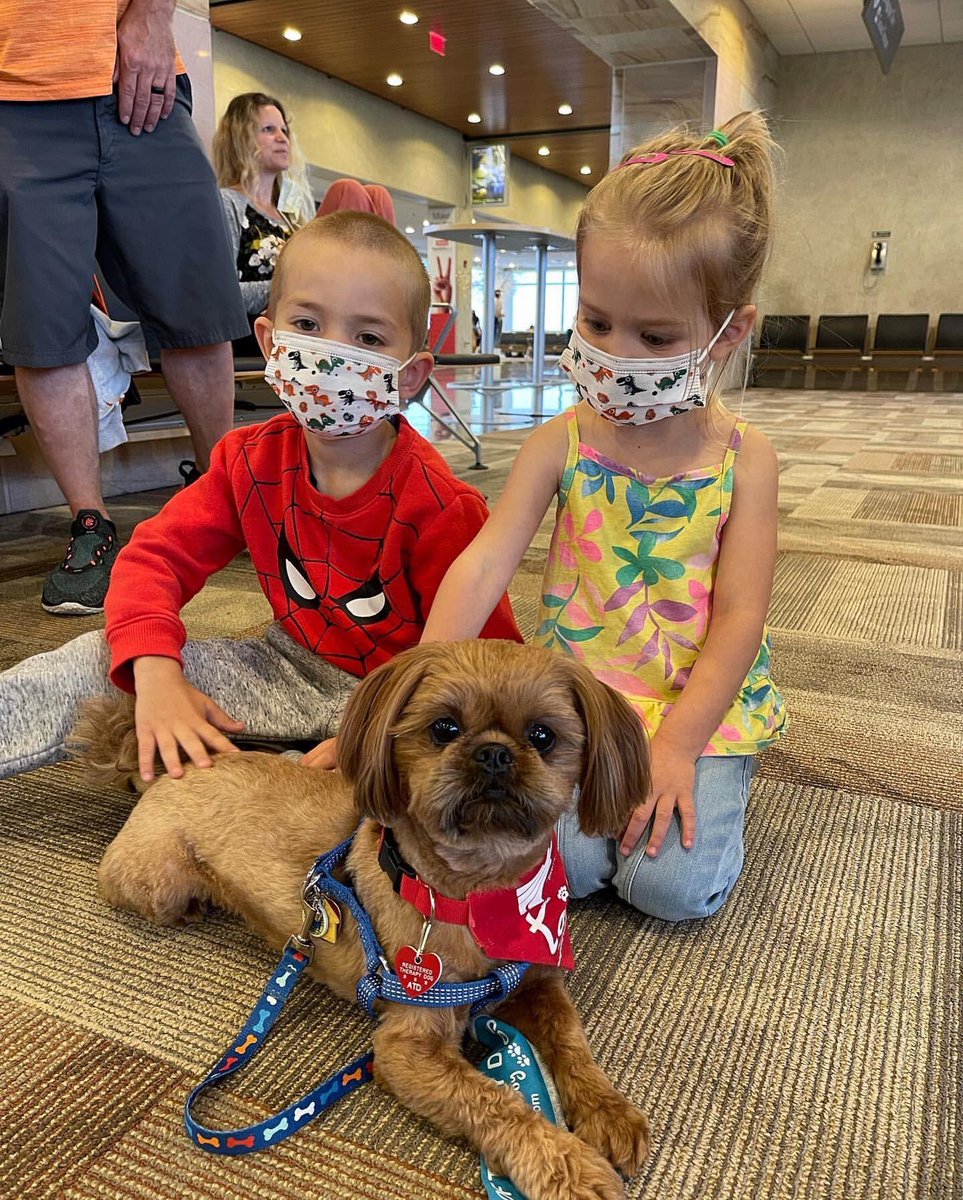 APTherapyDogs's tweet photo. Happy Saturday all!!!

Have you seen the love Dale gave out this AM today at 
@flyavp ?

We love Dale !!! 

#airporttherapydogs #flyavp #allianceoftherapydogs

Photo  - dalethetherapydog https://t.co/AzhsAeiyIK