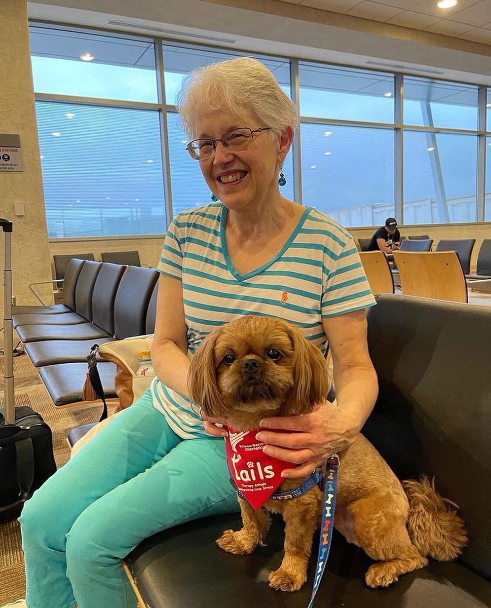 APTherapyDogs's tweet photo. Happy Saturday all!!!

Have you seen the love Dale gave out this AM today at 
@flyavp ?

We love Dale !!! 

#airporttherapydogs #flyavp #allianceoftherapydogs

Photo  - dalethetherapydog https://t.co/AzhsAeiyIK