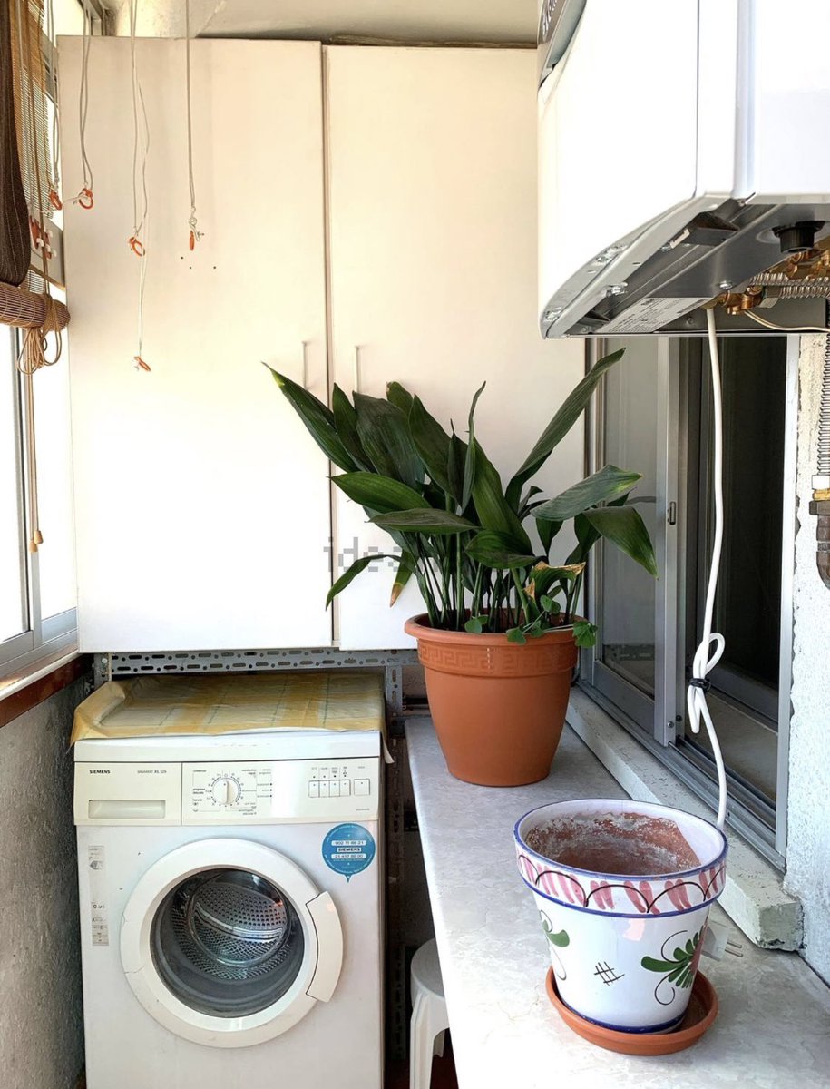 noeliahideko's tweet photo. El agente inmobiliario moviendo la planta por toda la casa para que salga en todas las fotos 😭😭 https://t.co/hdvWZso7nh