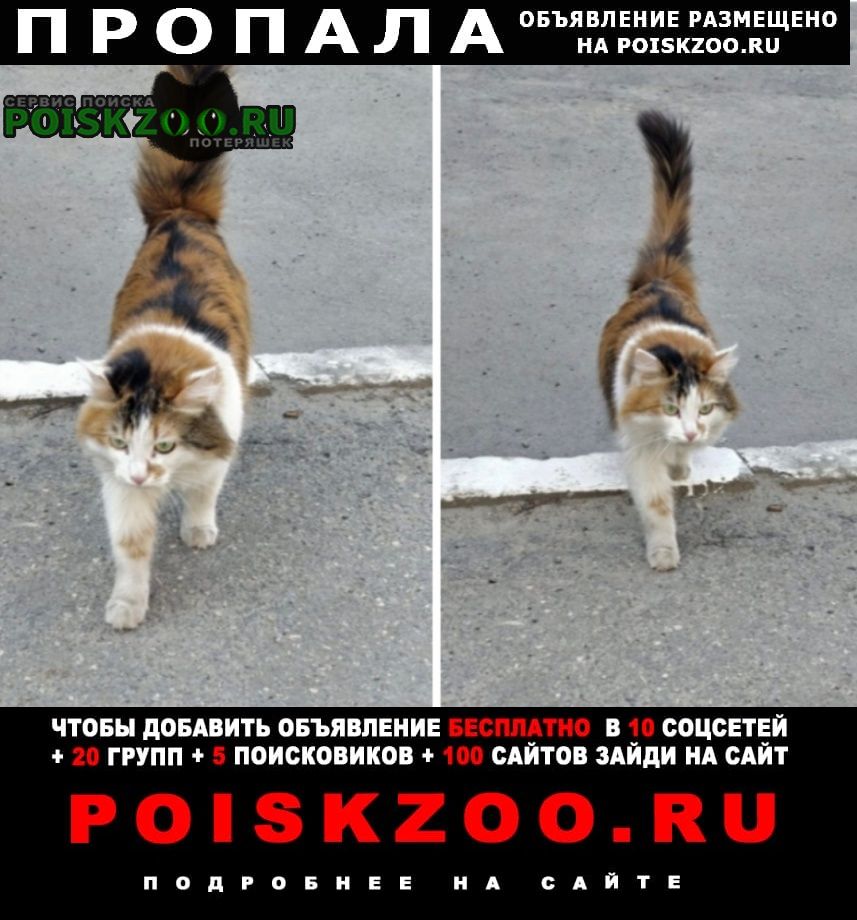 POISKZOO.RU™ tweet media