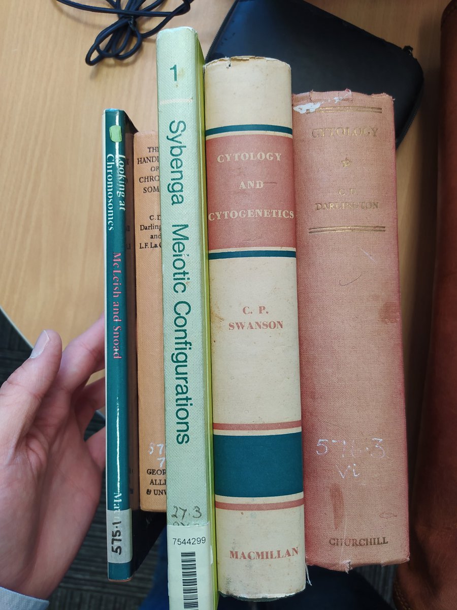 Absolutely amazed with this present from my supervisor Dr Eugenio Sánchez-Moran to celebrate my PhD. Old but gold. #meiosis4eva