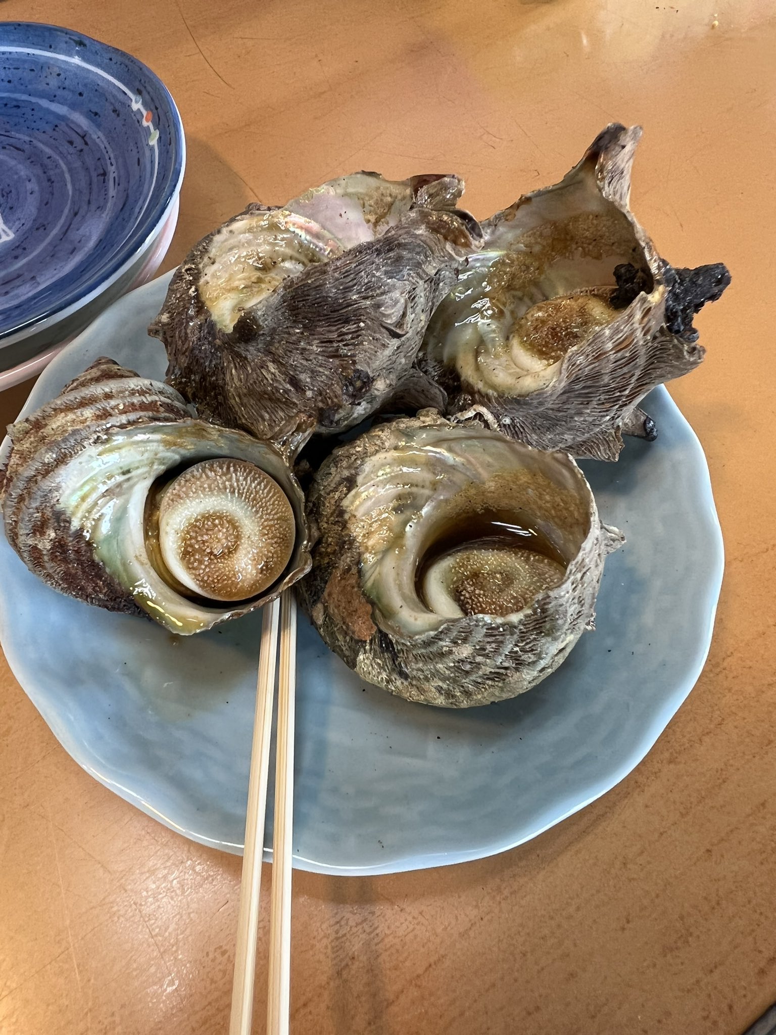 中上真亜子 Maako Nakagami Twitter