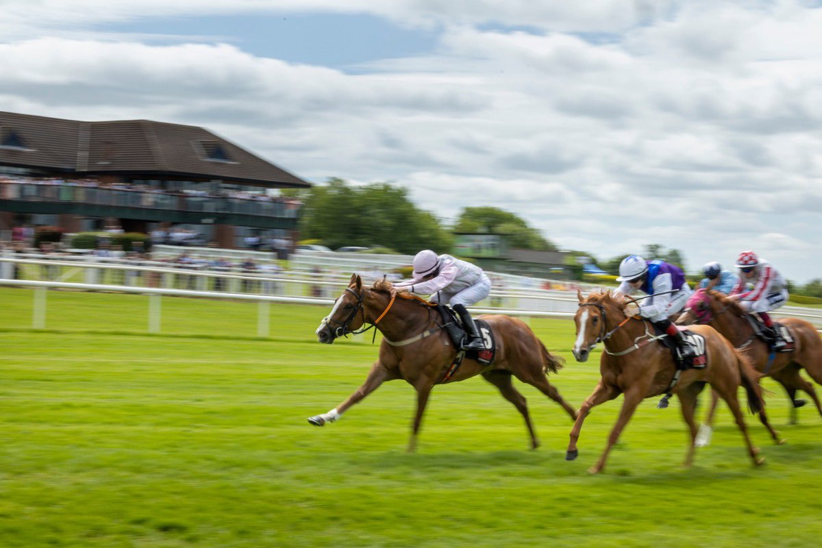 NavanRacecourse's tweet photo. 🐎 Results Of The Third Race 🐎 
2.15 ‘GAIN The Advantage Series Handicap’ @GAINEquine 

🥇 Curraheen Princess 10/3
🥈 Amazing Emma 3/1
🥉 Super Cub 22/1
4️⃣ Kilonova 50/1

A Win for N Stokes and @joedoyle96 https://t.co/V00gDZGl9K