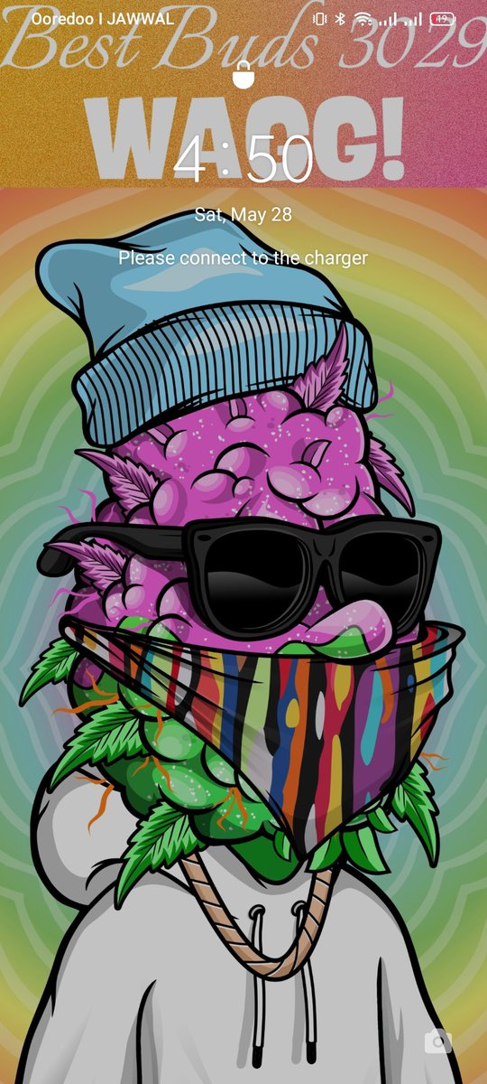 Rafat Qumsieh| C3 tweet media