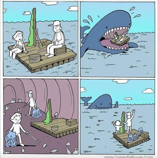 ecopracticas's tweet photo. #FaunaMarina . #ContaminacionMares #Platicos #ContaminacionPlasticos https://t.co/8bWC6VhsqS