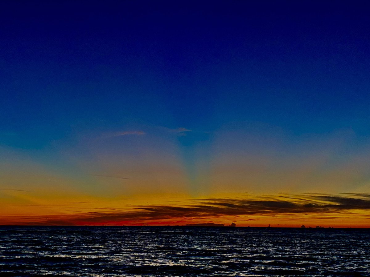 DickmannsWorld's tweet photo. @katebomb Come visit me on Sanibel Island! https://t.co/ZrMVbb1ZRo
