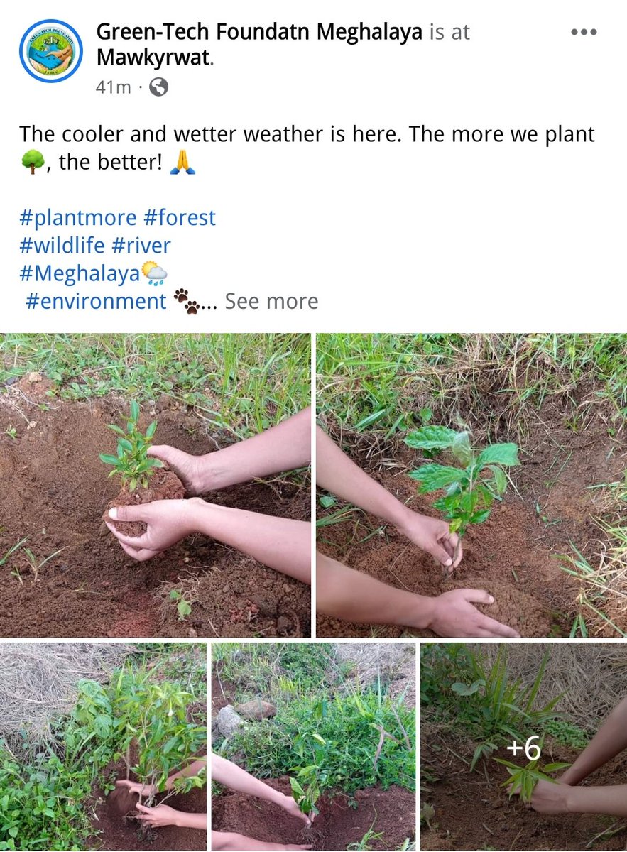 GTFmeghalaya's tweet photo. 📍#SWKHD - The cooler and wetter weather is here. The more we plant🌳, the better. In planting 🌳 if you take pain, there will be more O2 and abundant rain! 🙏
#plantmore #forest
#wildlife #river
#Meghalaya🌦
#environment 🐾 https://t.co/dnBJd1rVGm