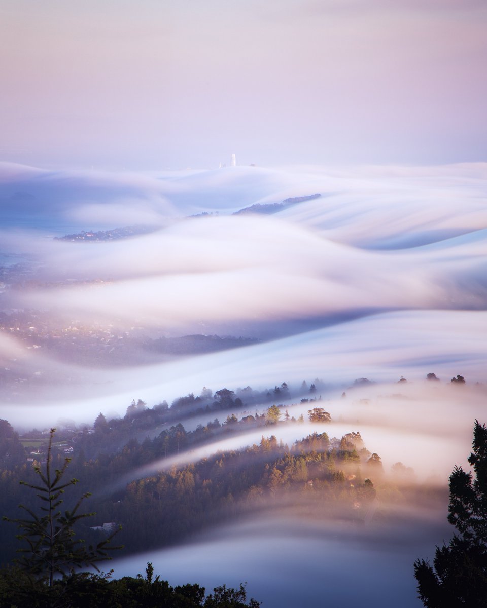 Cody Mayer tweet media