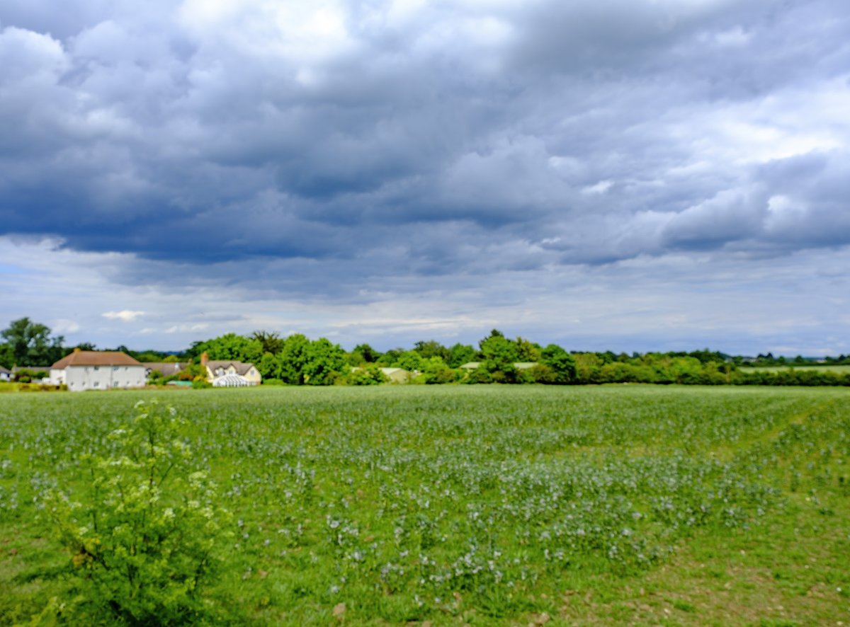 Whittlesford101's tweet photo. Looking across to New Road from Hill Farm Road with Stud Farm to the right (taken 28-May) #NewRd #HillFarmRd #May #cambridge #whittlesford #whittlesford1000 #FUJIFILM #XT2 https://t.co/eqSJkU5Ij3