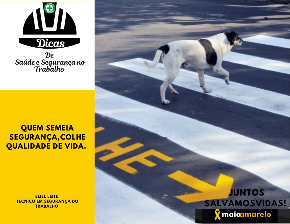 ElsJobSafety's tweet photo. No trânsito o respeito é para todos. 
#CidadeAlertarj #G1 Sergipe IBGE #maioamarelo https://t.co/HtawipbA2a