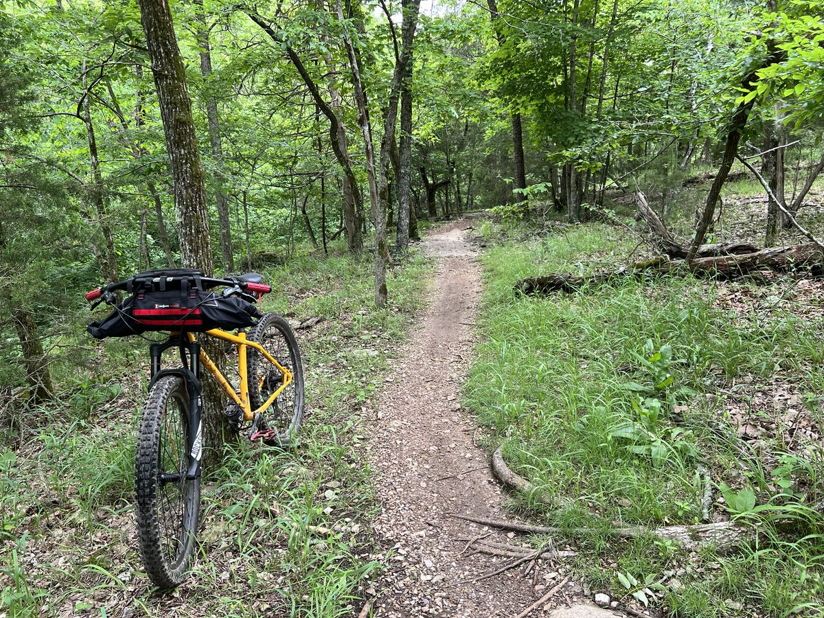 Banned_Randy's tweet image. Brought the sweet roll with a flannel in the middle, chips on the left, and chicken on the right. #SnackPacking