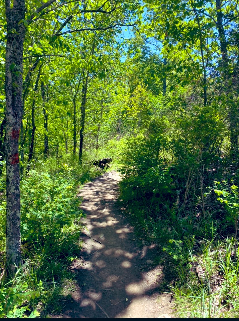 ambamcoop43's tweet photo. Gorgeous Day to get outside !! #hikeaway #sockstatement https://t.co/eokfcIsPVy