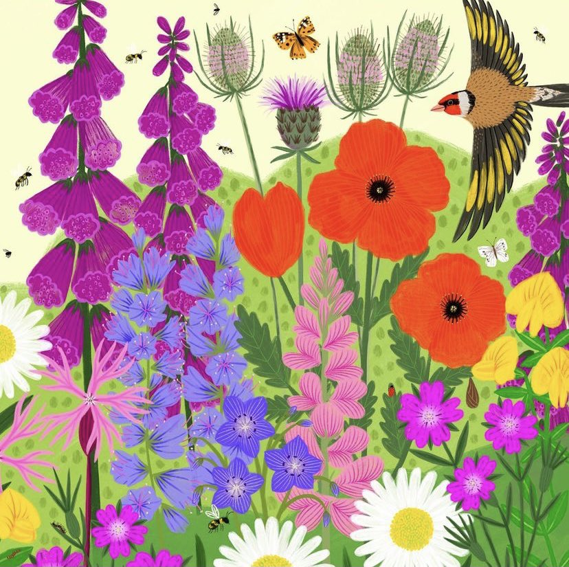 jehane_ltd's tweet photo. Day 6 of my Twelve Days of Elements and today’s prompt is English Flowers! Here artwork illustrated by Jehane Ltd artists Amelia Bowman, Lee Foster-Wilson and Katherine Quinn @Amelia_Bowman @BonbiForest @katherineq https://t.co/k8kre290qp