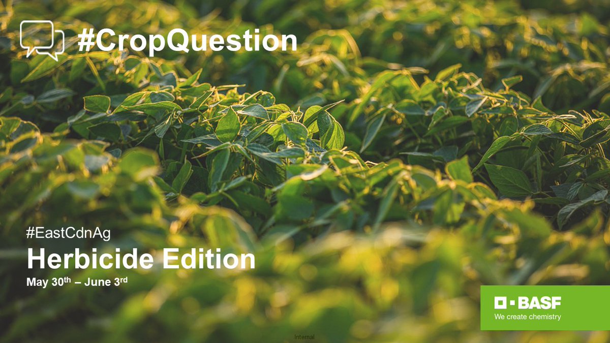 BASFAgSolutions's tweet photo. Hey #EastCdnAg, tune in next week for our #CropQuestion Herbicide Edition! @RobMillerAg @randersonBASF and @Ken_Currah will be joining us to share best practices for your herbicide applications this season.
You can DM us your questions or reply 👇 https://t.co/0n8Y3JSUmV