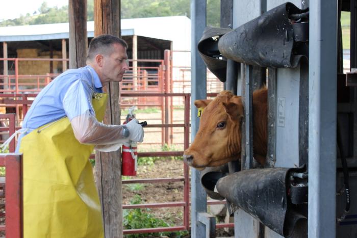 Ag&Natural Resources (@ucanr) on Twitter photo John Angelos, a <a href="/ucdavis/">UC Davis</a> professor who conducts research at our <a href="/UCRECSierra/">Sierra Foothill Research and Extension Center</a> to develop better vaccines aimed at preventing pinkeye in #cattle, says that the center allows him to conduct research in a natural environment. <a href="/ucdavisvetmed/">UC Davis Veterinary Medicine</a> #UCANR
ow.ly/KiHo50Jk5Fe John Angelos, a <a href="/ucdavis/">UC Davis</a> professor who conducts research at our <a href="/UCRECSierra/">Sierra Foothill Research and Extension Center</a> to develop better vaccines aimed at preventing pinkeye in #cattle, says that the center allows him to conduct research in a natural environment. <a href="/ucdavisvetmed/">UC Davis Veterinary Medicine</a> #UCANR
ow.ly/KiHo50Jk5Fe