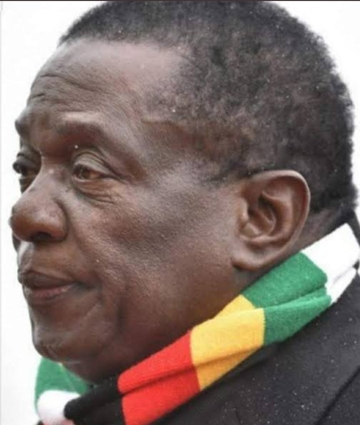 PROFESSOROFPOL3's tweet photo. You will think I hate @edmnangagwa just listen own your own. Just listen 😢 😭 😢 https://t.co/NoqCf6vbXL